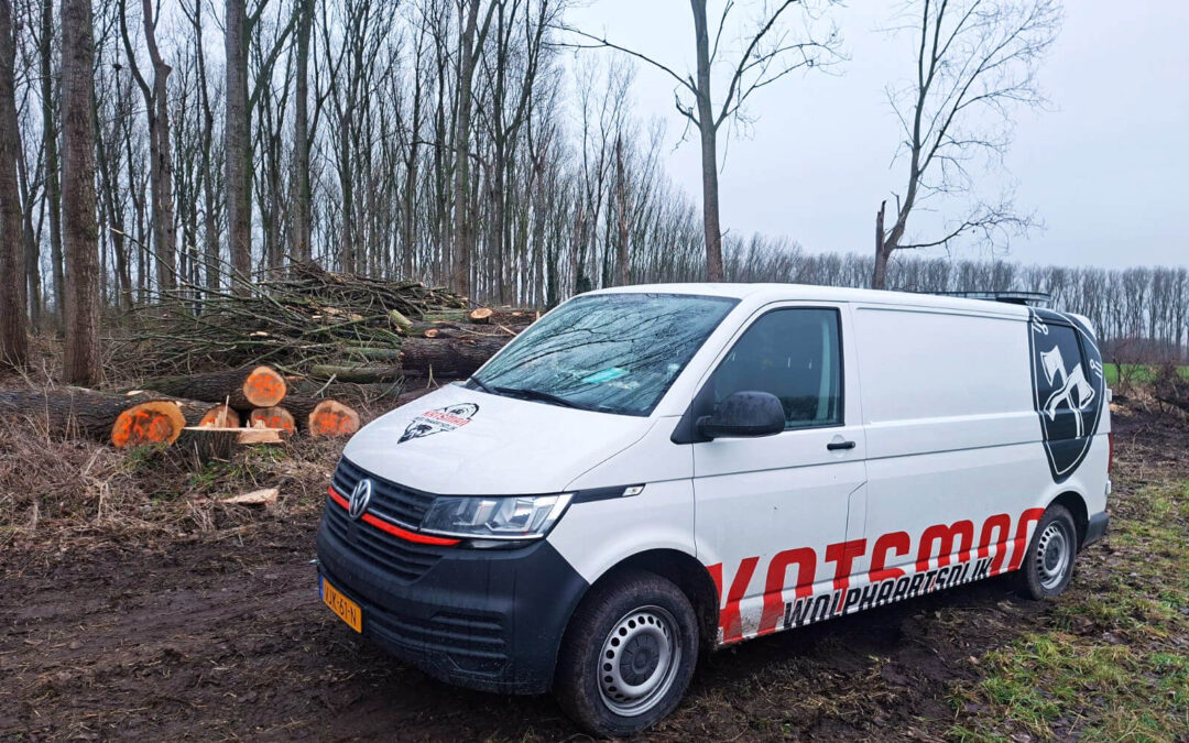 Katsman Wolphaartsdijk